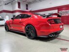 Thumbnail Photo 2 for 2019 Ford Mustang